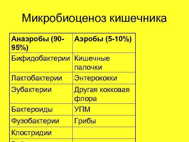 Микробиоценоз кишечника Анаэробы (90 - Аэробы (5 -10%) 95%) Бифидобактерии Кишечные палочки Лактобактерии Энтерококки