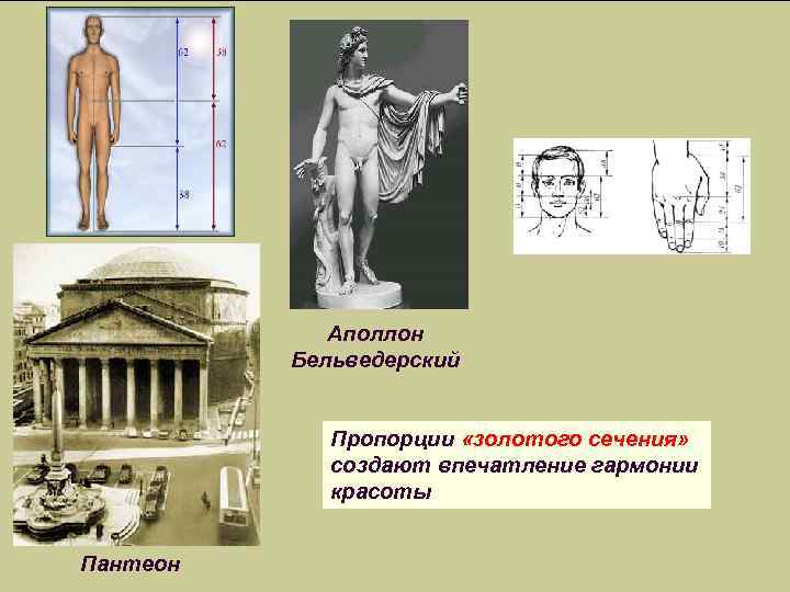 Аполлон Бельведерский Пропорции «золотого сечения» создают впечатление гармонии красоты Пантеон 