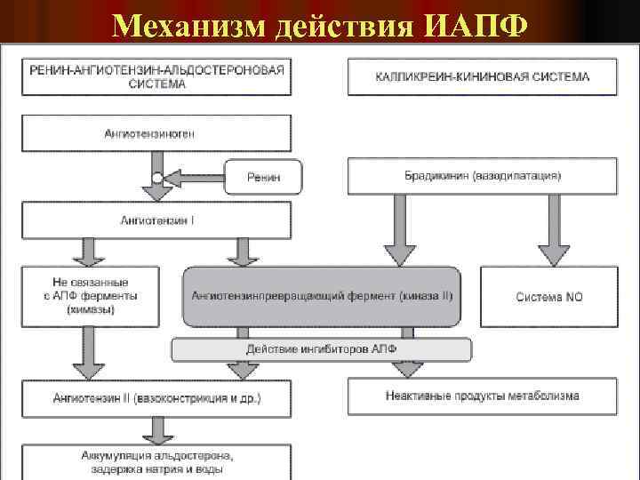 Механизм действия ИАПФ 