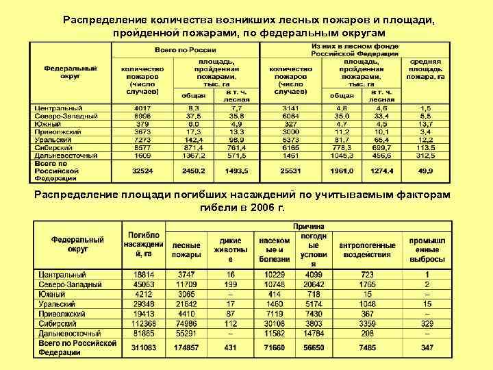 Распределение площадей. Таблица временная пробная площадь. Пробная площадь при лесных пожаров точковки.