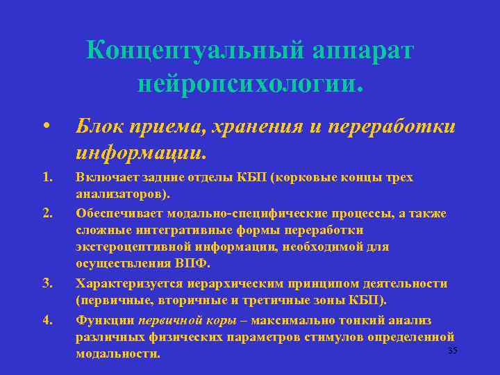 Концептуальный аппарат нейропсихологии. • Блок приема, хранения и переработки информации. 1. Включает задние отделы