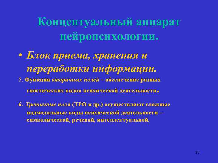 Концептуальный аппарат нейропсихологии. • Блок приема, хранения и переработки информации. 5. Функции вторичных полей