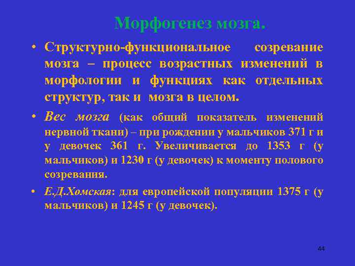 Морфогенез мозга. • Структурно-функциональное созревание мозга – процесс возрастных изменений в морфологии и функциях