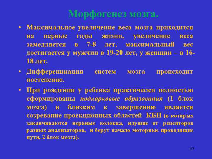 Увеличение максимальный. Морфогенез мозга. Концепции морфогенеза. Последовательность этапов морфогенеза головного мозга:. Процессы морфогенеза.