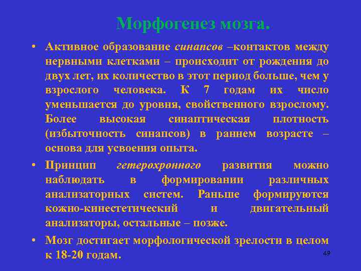 И общего активную образования. Морфогенез в нейропсихологии.