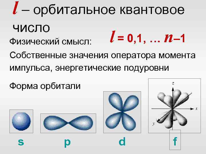 Число орбиталей s. Орбитали и подуровни. Квантовые числа. Ориентация электронного облака в пространстве. Квантовые орбитали.