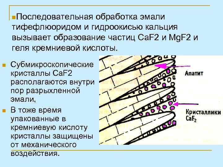 n. Последовательная обработка эмали тифефлюоридом и гидроокисью кальция вызывает образование частиц Са. F 2