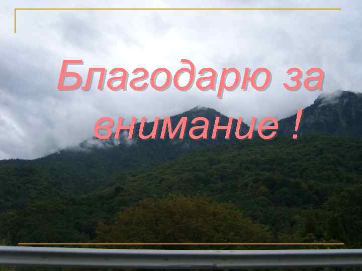 Благодарю за внимание ! 