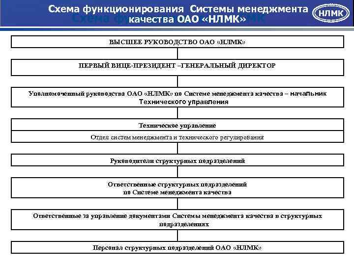 Нлмк менеджмент. Структура управления НЛМК.