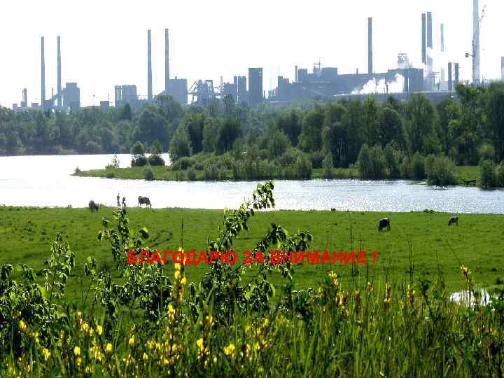 НЛМК БЛАГОДАРЮ ЗА ВНИМАНИЕ ! 