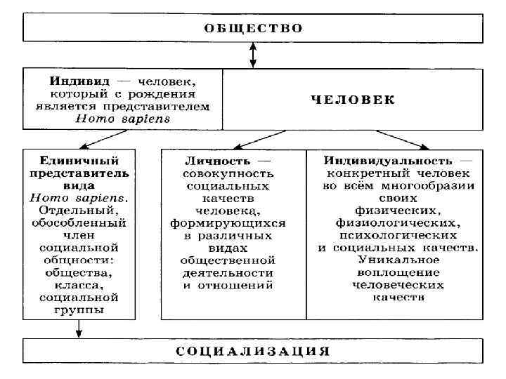 Природа социального общества