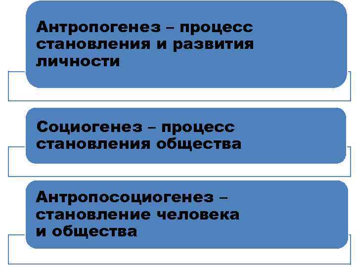 Социогенез. Социогенез — становление общества. Социогенез и его этапы. Процесс становления общества.