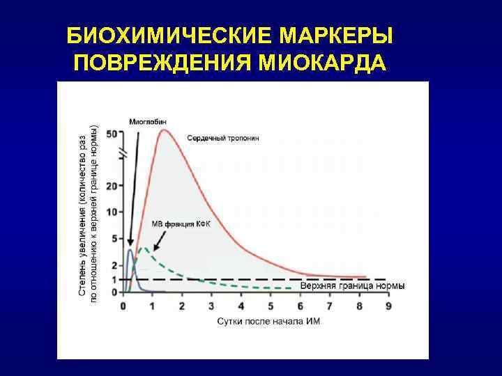 БИОХИМИЧЕСКИЕ МАРКЕРЫ ПОВРЕЖДЕНИЯ МИОКАРДА 