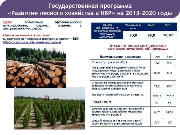 План описания отрасли хозяйства лесная промышленность