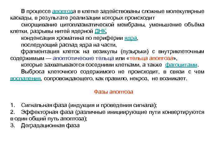 В процессе апоптоза в клетке задействованы сложные молекулярные каскады, в результате реализации которых происходит