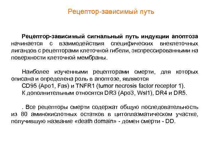 Рецептор-зависимый путь Рецептор-зависимый сигнальный путь индукции апоптоза начинается с взаимодействия специфических внеклеточных лигандов с