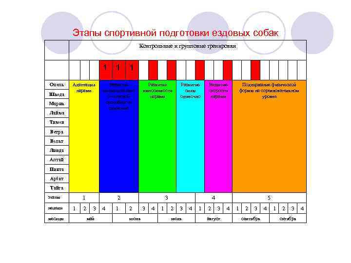 Этапы спортивной подготовки ездовых собак Контрольные и групповые тренировки 1 1 1 Опель Шкода