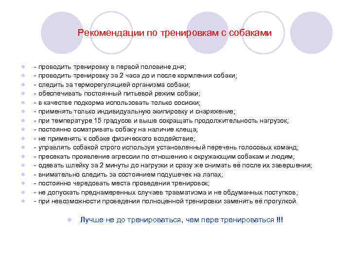 Рекомендации по тренировкам с собаками l l l l - проводить тренировку в первой