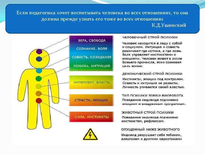Если педагогика хочет воспитывать человека во всех отношениях, то она должна прежде узнать его