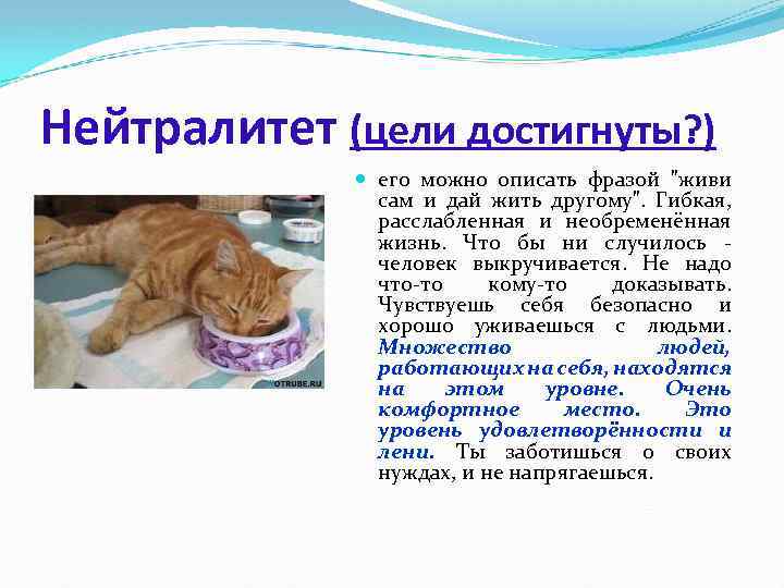 Нейтралитет (цели достигнуты? ) его можно описать фразой 