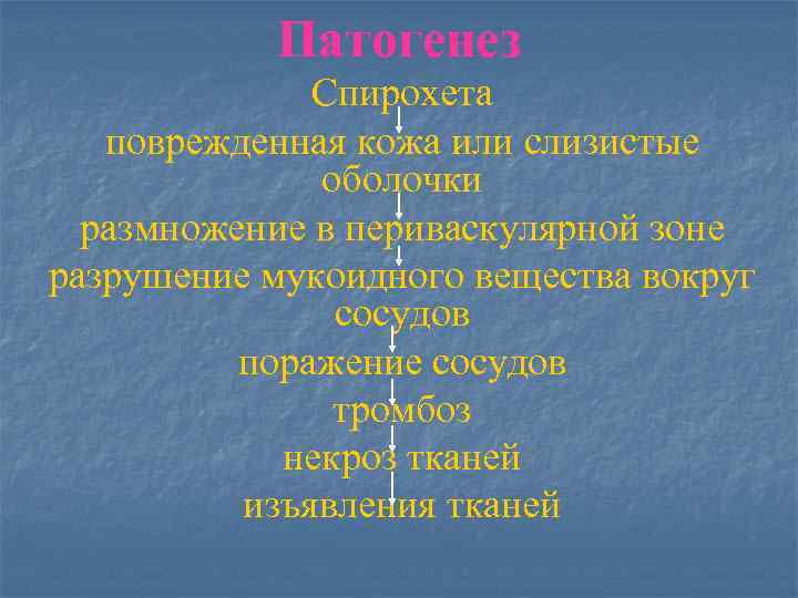 Патогенез Спирохета поврежденная кожа или слизистые оболочки размножение в периваскулярной зоне разрушение мукоидного вещества