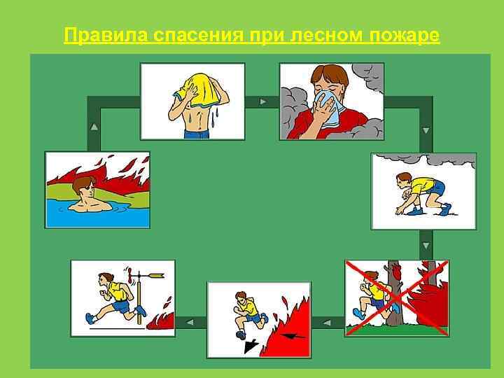 Правила спасения при лесном пожаре 