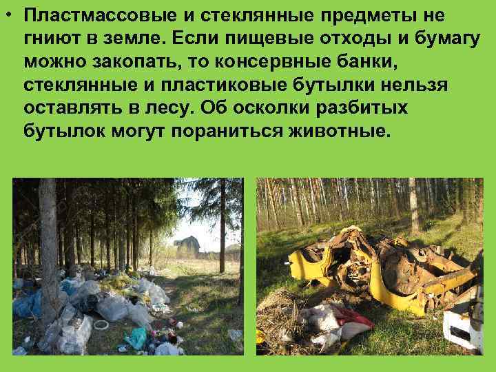  • Пластмассовые и стеклянные предметы не гниют в земле. Если пищевые отходы и