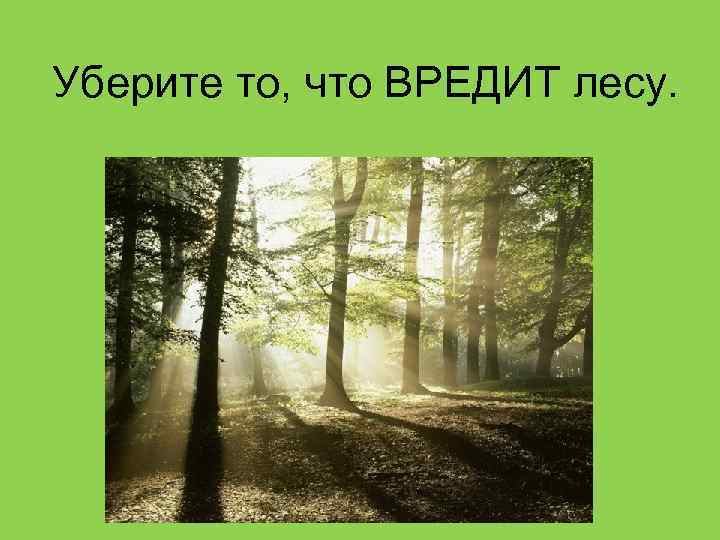 Уберите то, что ВРЕДИТ лесу. 