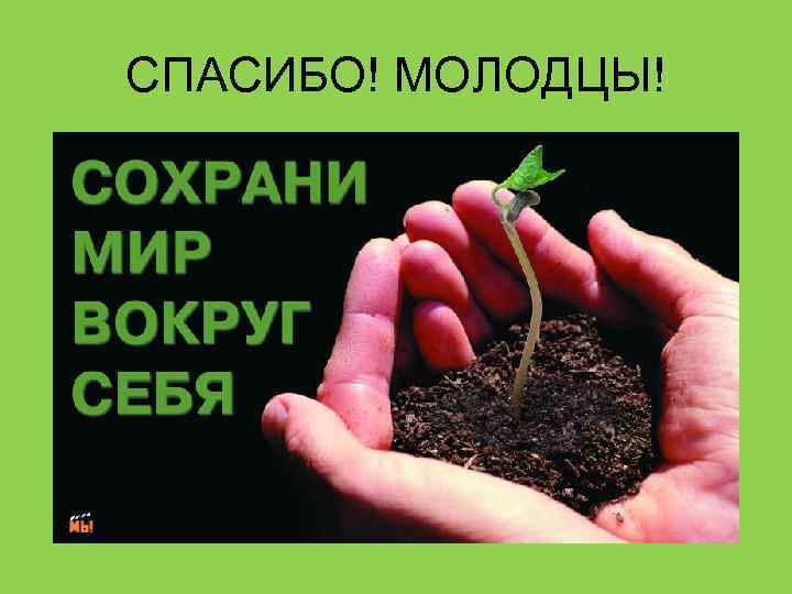 СПАСИБО! МОЛОДЦЫ! 