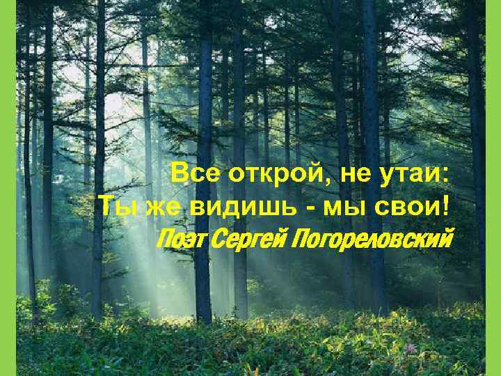 Все открой, не утаи: Ты же видишь - мы свои! Поэт Сергей Погореловский 