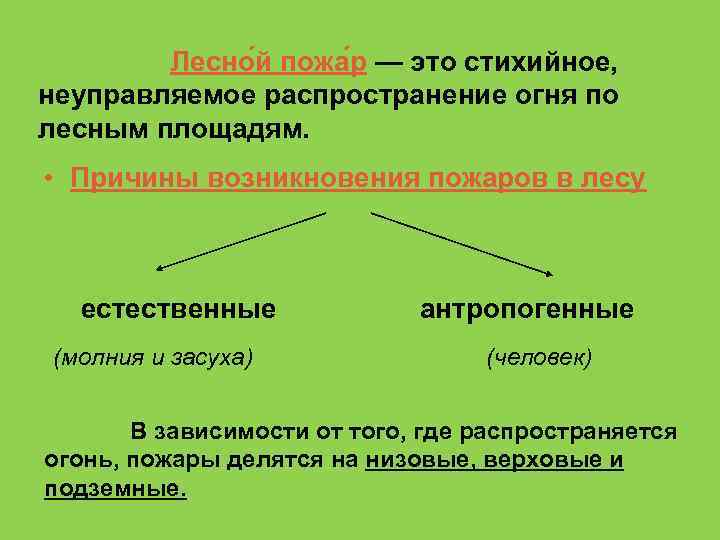  Лесно й пожа р — это стихийное, неуправляемое распространение огня по лесным площадям.