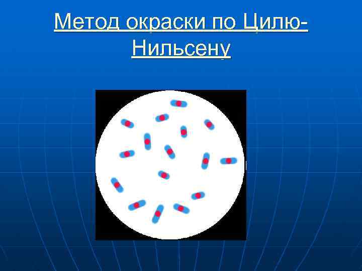 Метод окраски по Цилю. Нильсену 