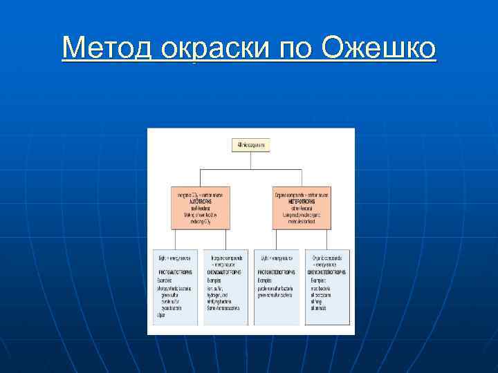 Метод окраски по Ожешко 