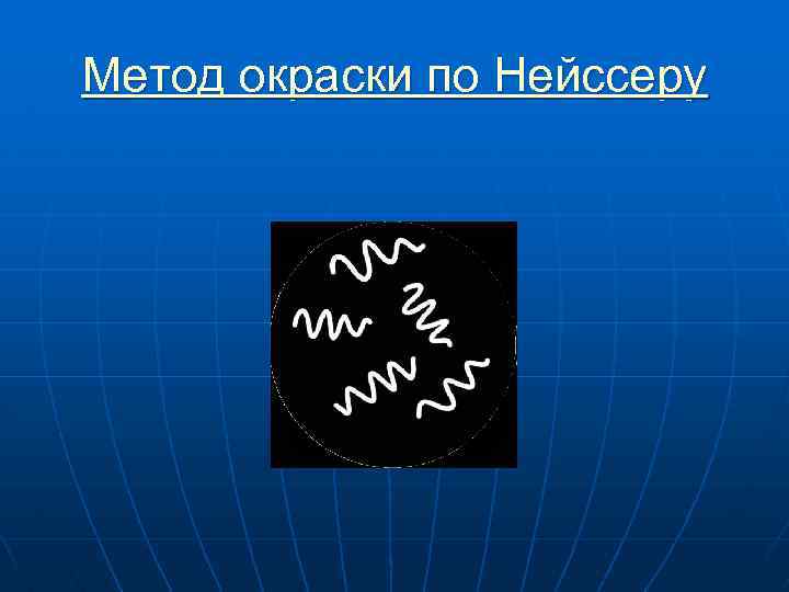 Метод окраски по Нейссеру 