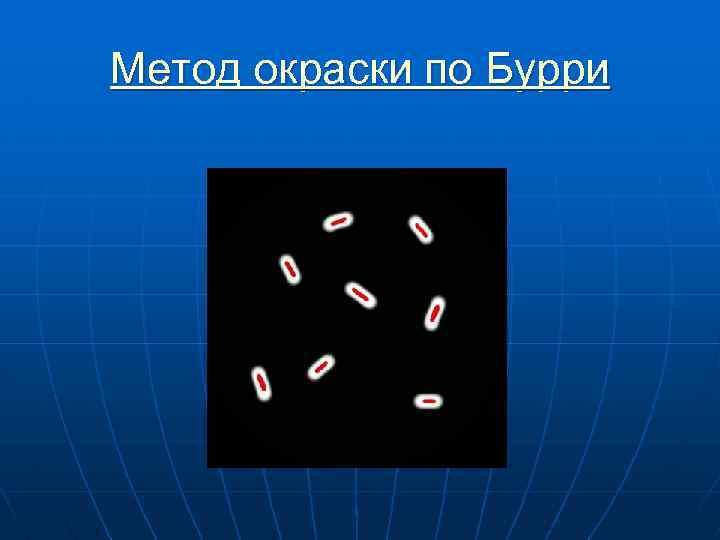 Метод окраски по Бурри 