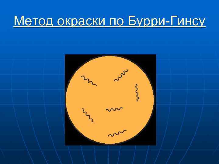 Метод окраски по Бурри-Гинсу 