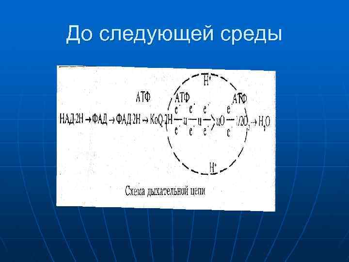 До следующей среды 