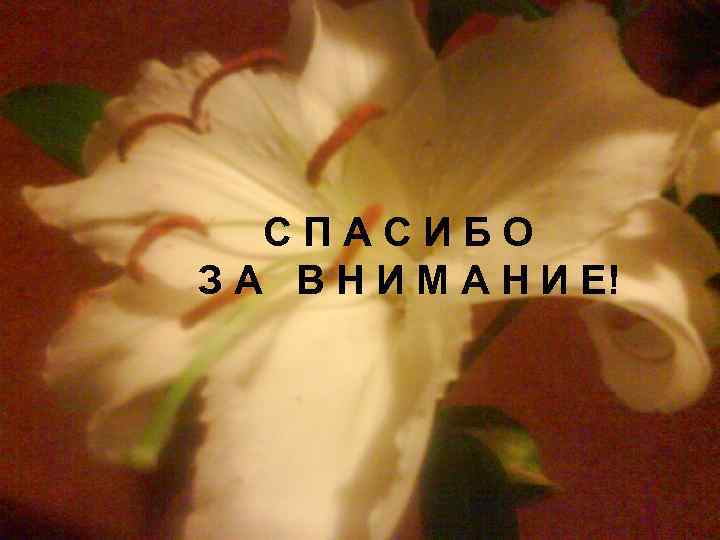 СПАСИБО З А В Н И М А Н И Е! 