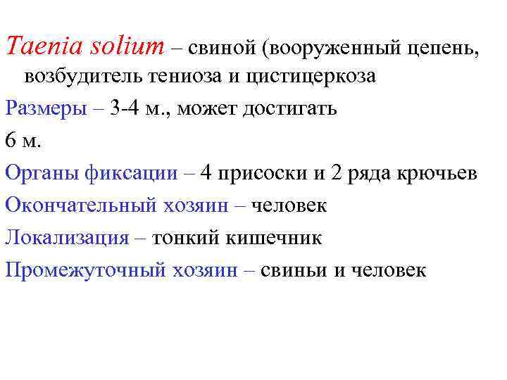 Taenia solium – свиной (вооруженный цепень, возбудитель тениоза и цистицеркоза Размеры – 3 -4