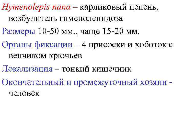 Hymenolepis nana – карликовый цепень, возбудитель гименолепидоза Размеры 10 -50 мм. , чаще 15