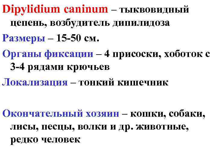 Dipylidium caninum – тыквовидный цепень, возбудитель дипилидоза Размеры – 15 -50 см. Органы фиксации