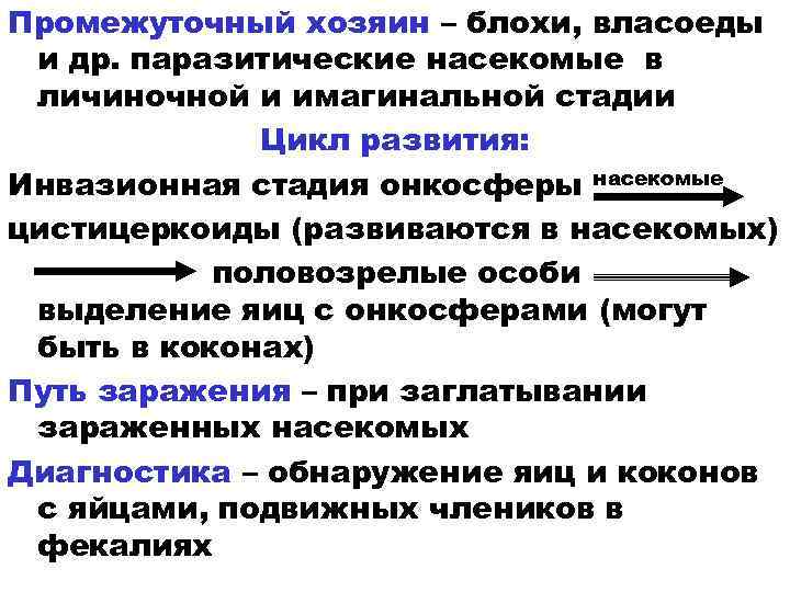 Промежуточный хозяин – блохи, власоеды и др. паразитические насекомые в личиночной и имагинальной стадии