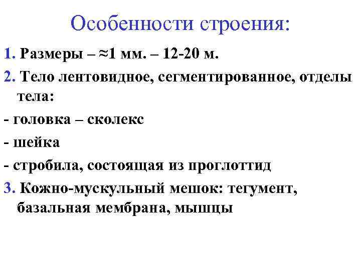 Особенности строения: 1. Размеры – ≈1 мм. – 12 -20 м. 2. Тело лентовидное,