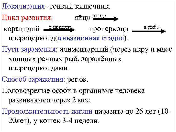 Локализация- тонкий кишечник. Цикл развития: яйцо в воде в рыбе корацидий в циклопе процеркоид