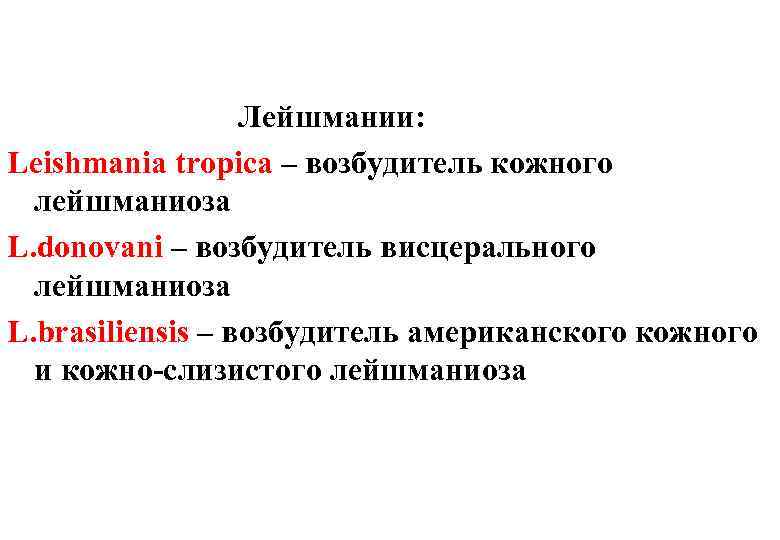 Лейшмании: Leishmania tropica – возбудитель кожного лейшманиоза L. donovani – возбудитель висцерального лейшманиоза L.