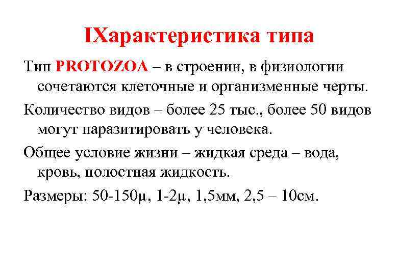 ⅠХарактеристика типа Тип PROTOZOA – в строении, в физиологии сочетаются клеточные и организменные черты.