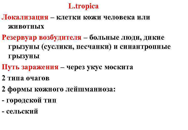 L. tropica Локализация – клетки кожи человека или животных Резервуар возбудителя – больные люди,