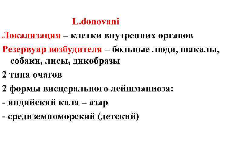 L. donovani Локализация – клетки внутренних органов Резервуар возбудителя – больные люди, шакалы, собаки,