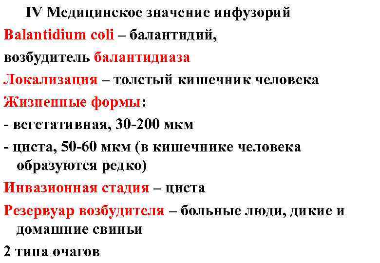 Ⅳ Медицинское значение инфузорий Balantidium coli – балантидий, возбудитель балантидиаза Локализация – толстый кишечник