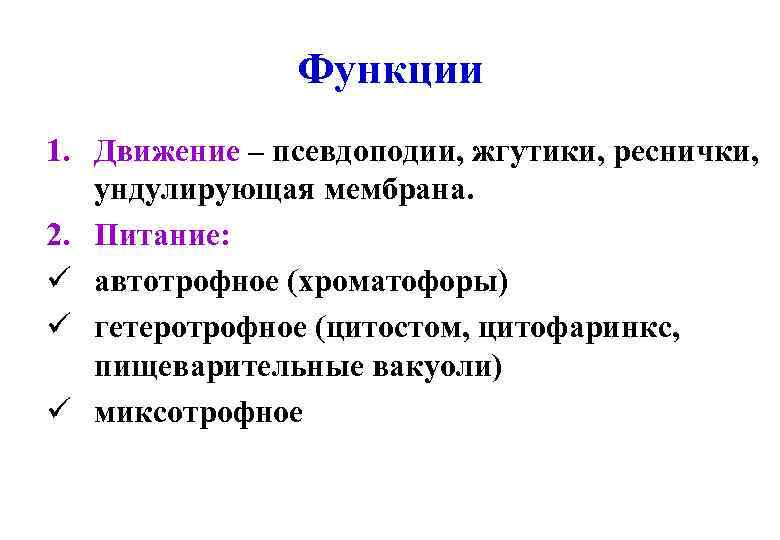 Функции 1. Движение – псевдоподии, жгутики, реснички, ундулирующая мембрана. 2. Питание: ü автотрофное (хроматофоры)